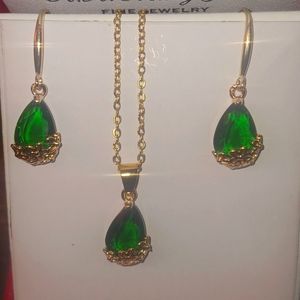 ✔️Earrings and Necklace set